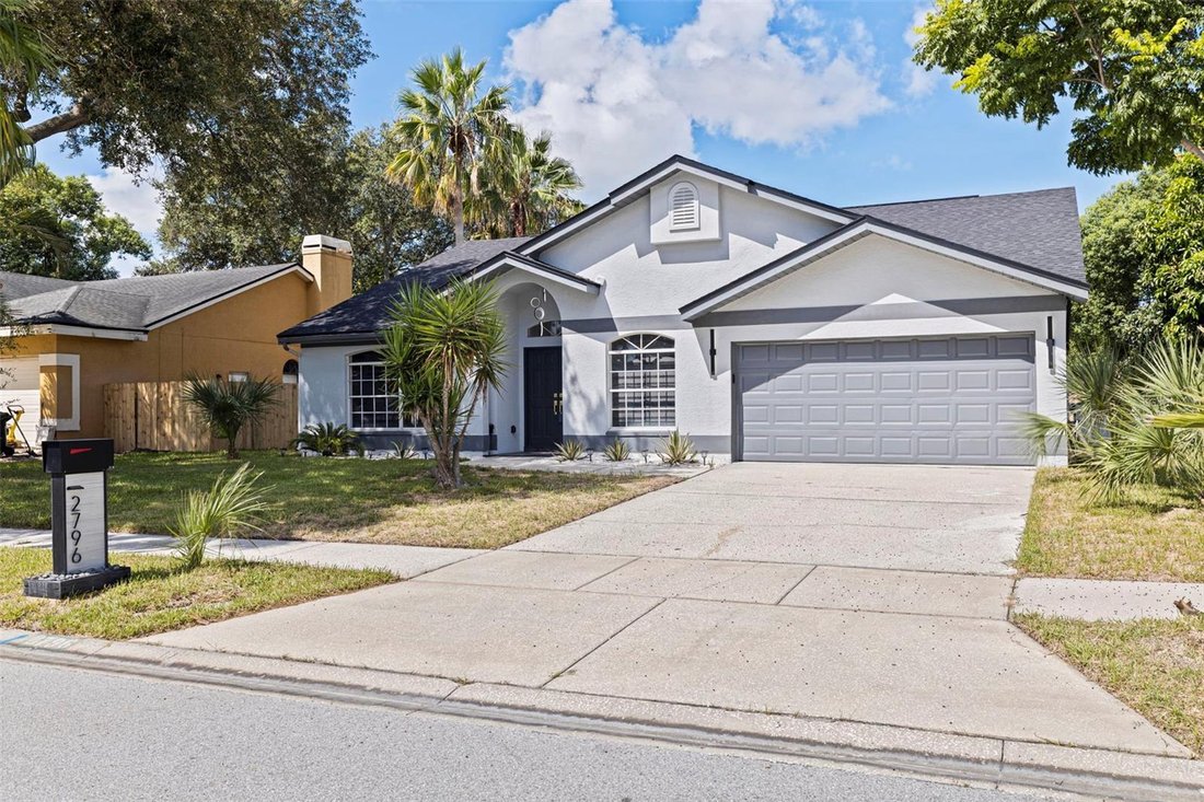 House in Palm Harbor, Florida, United States 2 - 18818659