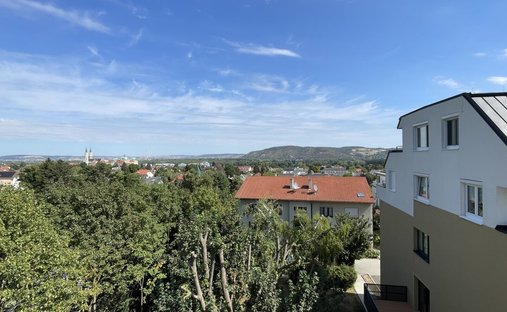 Apartment in Klosterneuburg, Lower Austria, Austria 1