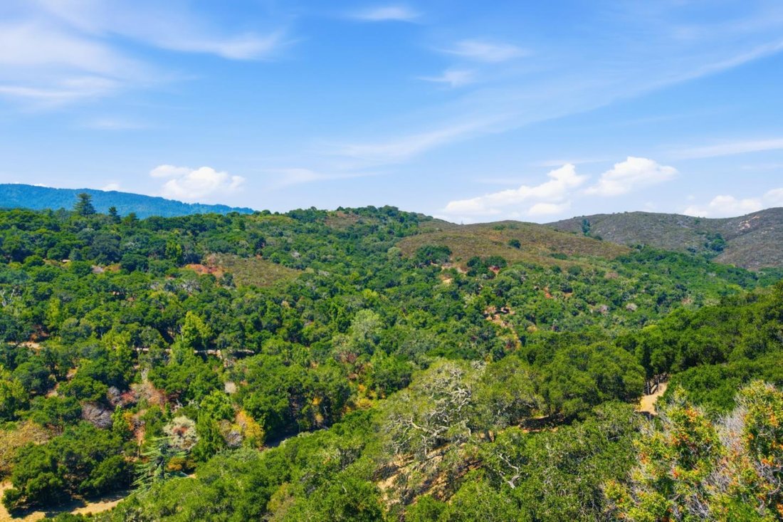 Condo in San Carlos, California, United States 5 - 18818137