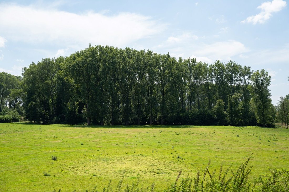 Villa à Mons, Wallonie, Belgique 2 - 18818270