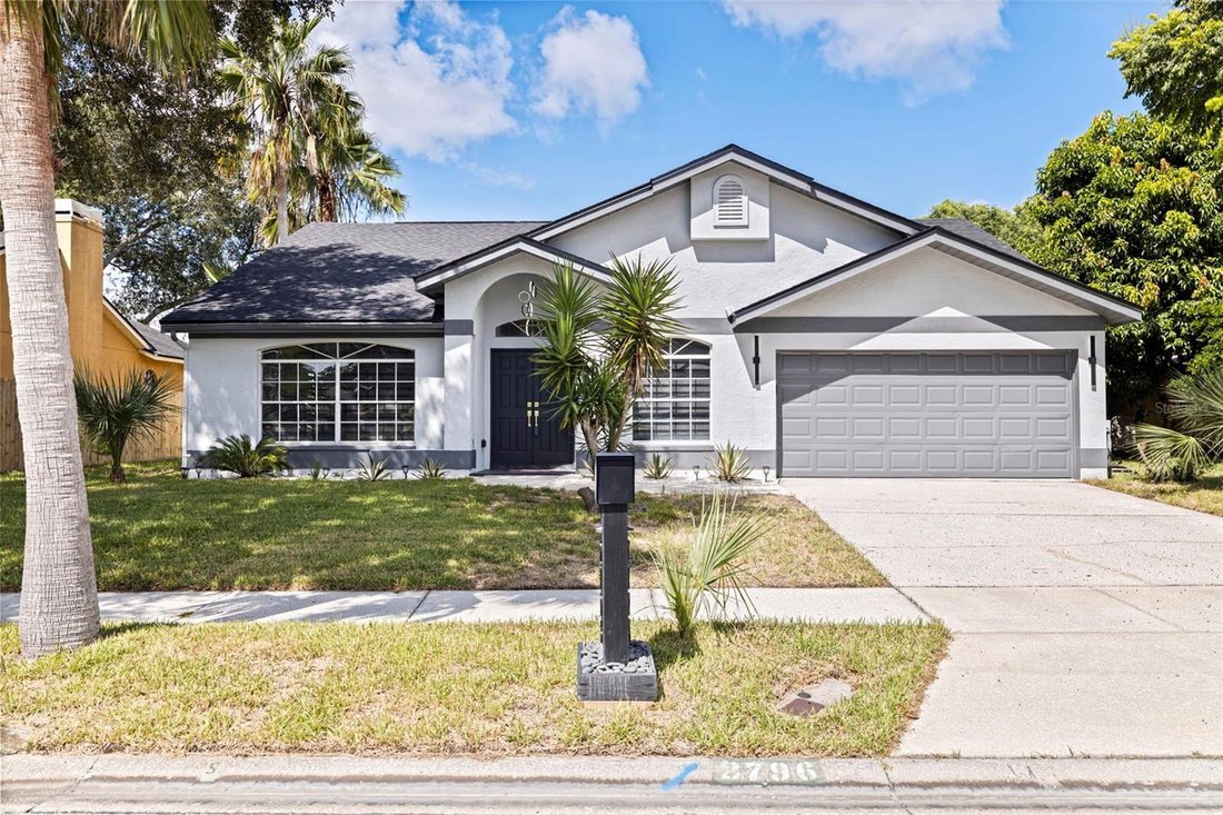 House in Palm Harbor, Florida, United States 1 - 18818659