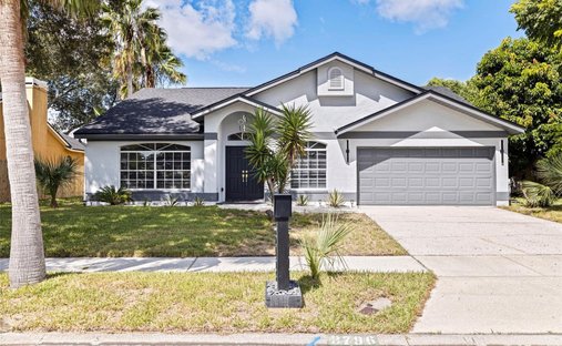 House in Palm Harbor, Florida, United States 1