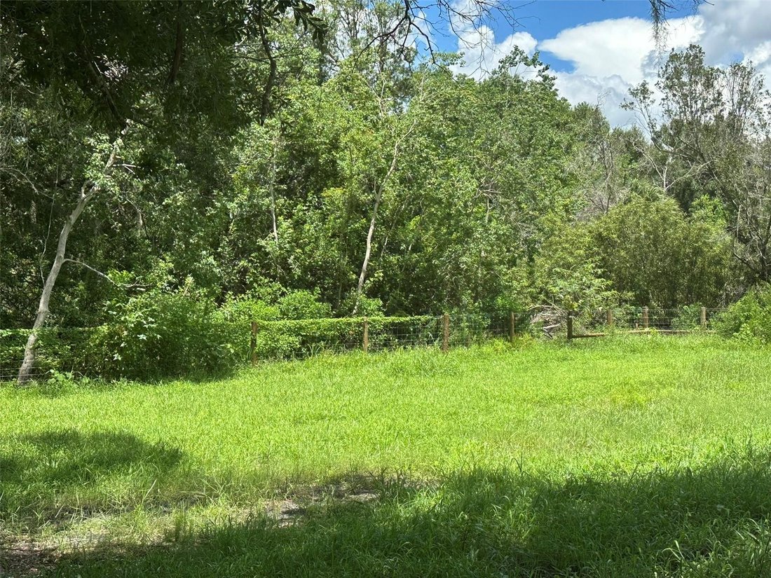 Terrain à Palm Harbor, Floride, États-Unis 4 - 18818594