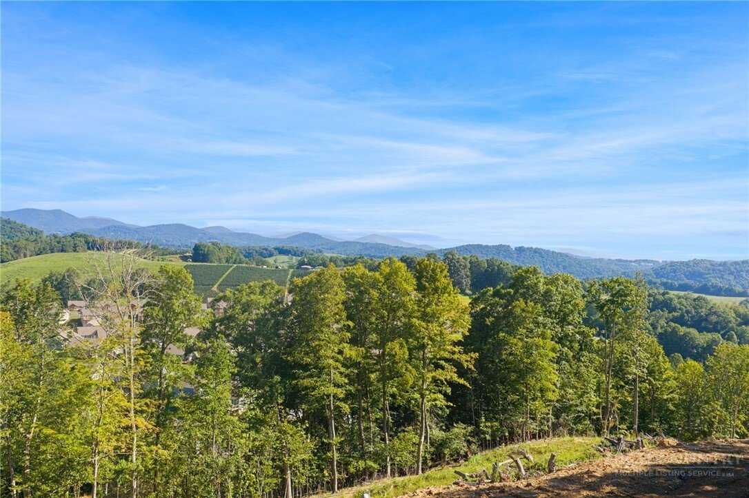 Terreno en Foscoe, Carolina del Norte, Estados Unidos 1 - 18819777