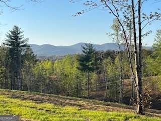 Rancho en Dahlonega, Georgia, Estados Unidos 5 - 18819032