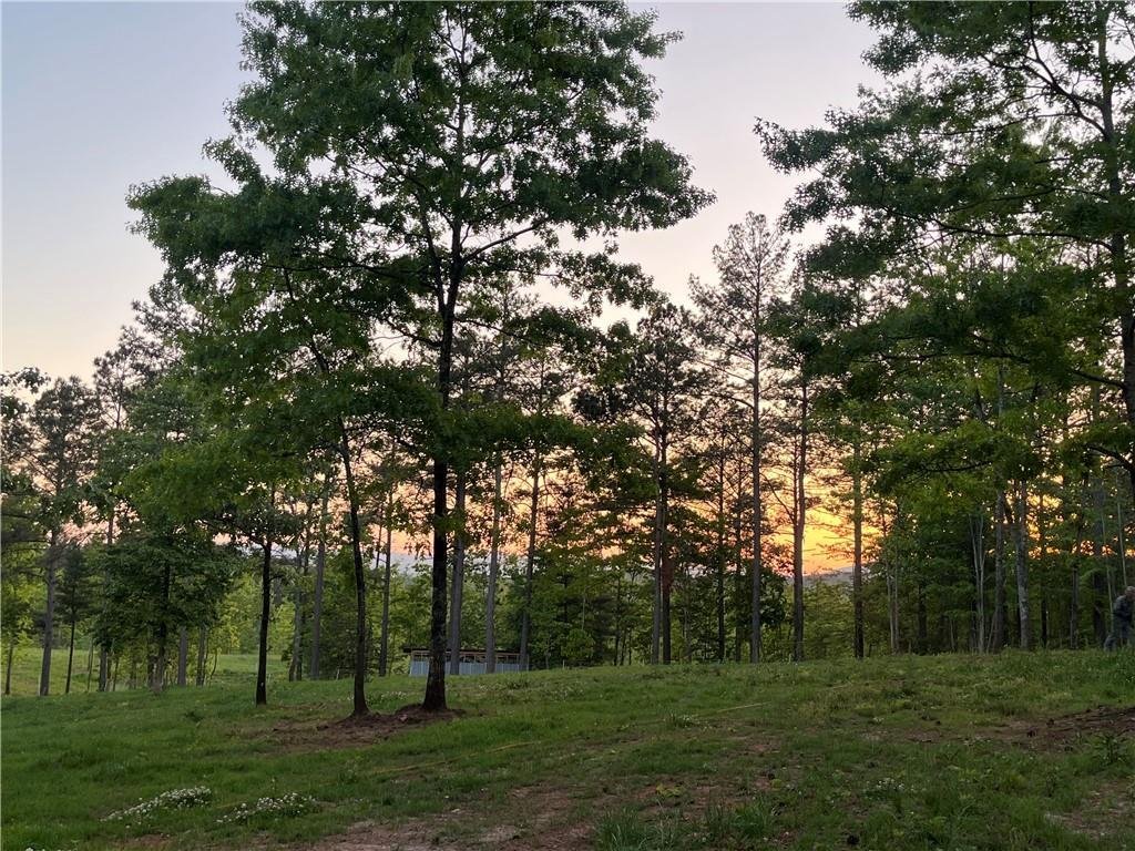 Land in Dahlonega, Georgia, Vereinigte Staaten 2 - 18819561