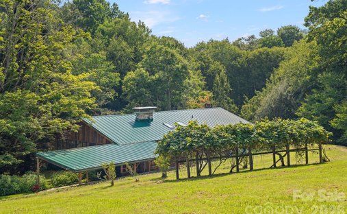Haus in Mars Hill, North Carolina, Vereinigte Staaten 1