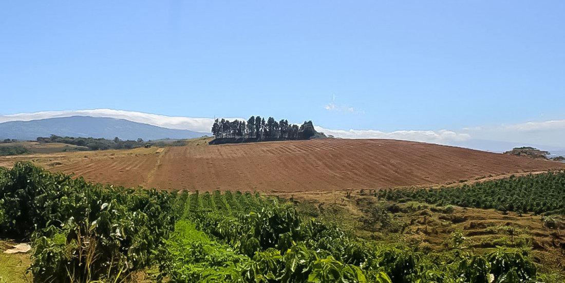 Rancho en Carrillos Alto, Provincia de Alajuela, Costa Rica 3 - 18820067