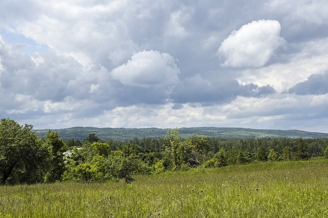 Terrain à Mulmur, Ontario, Canada 2 - 18789220