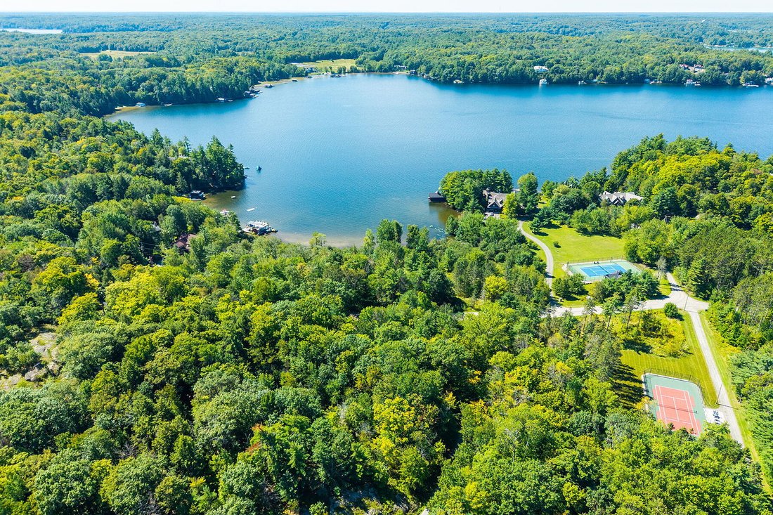 Maison à Muskoka Lakes, Ontario, Canada 1 - 18820137