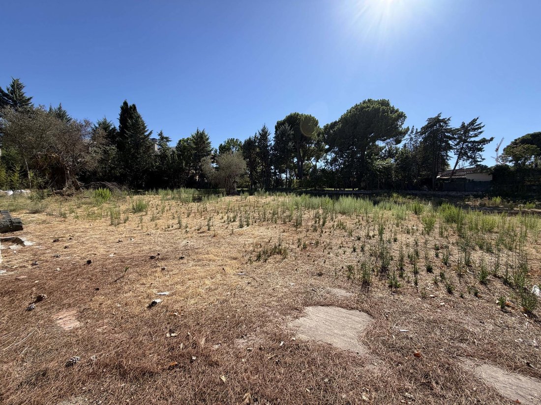 Terrain à Pozuelo de Alarcón, Communauté de Madrid, Espagne 5 - 18820807