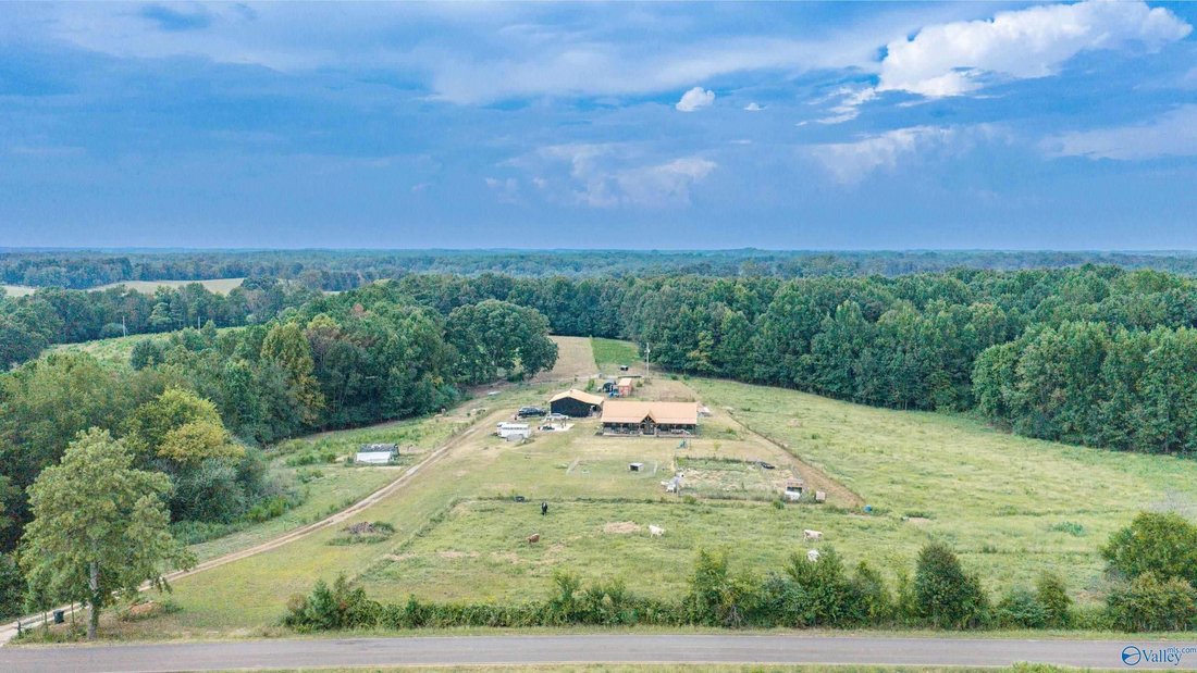 Haus in Anderson, Alabama, Vereinigte Staaten 1 - 18820328