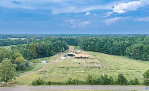 Haus in Anderson, Alabama, Vereinigte Staaten 1