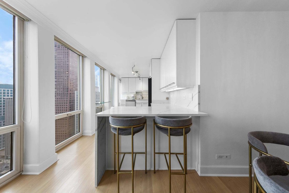 Condominio a Chicago, Illinois, Stati Uniti 5 - 18820687