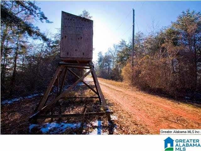 Casa en Ashville, Alabama, Estados Unidos 4 - 18820955
