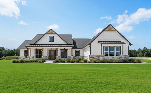 House in New Caney, Texas, United States 1