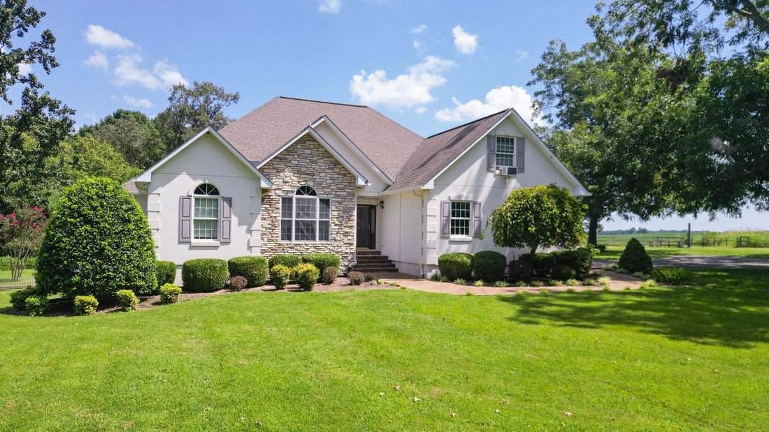 House in Henry, Tennessee, United States 1 - 18821041