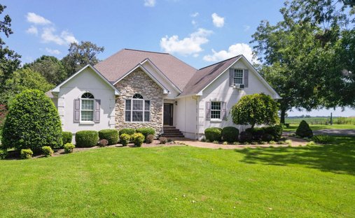 House in Henry, Tennessee, United States 1
