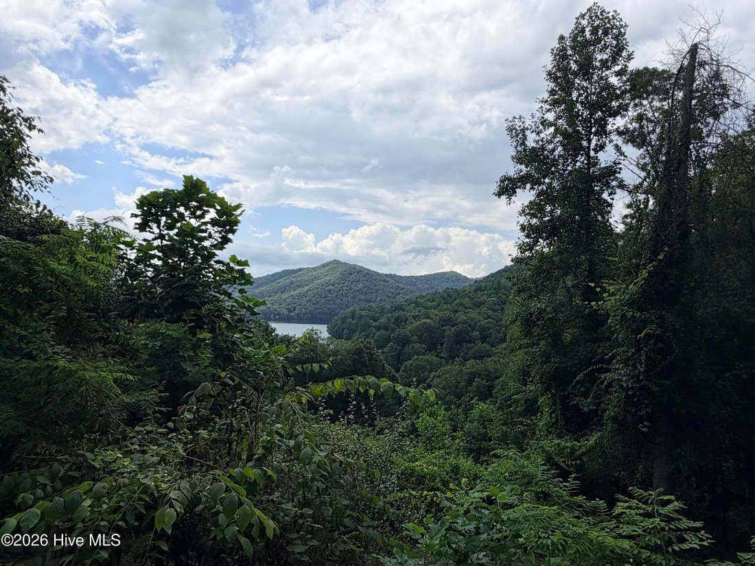 Haus in Topton, North Carolina, Vereinigte Staaten 2 - 18820735