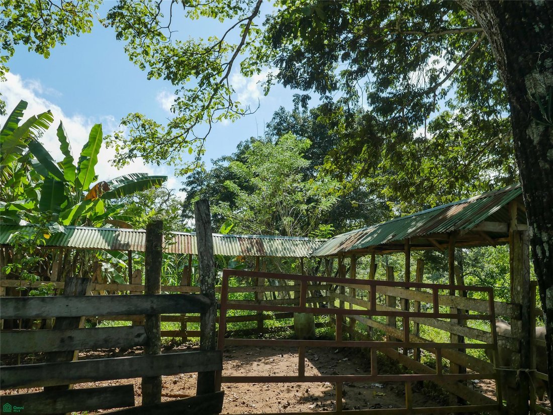 Land in Río Negro, Puntarenas Province, Costa Rica 5 - 17810886