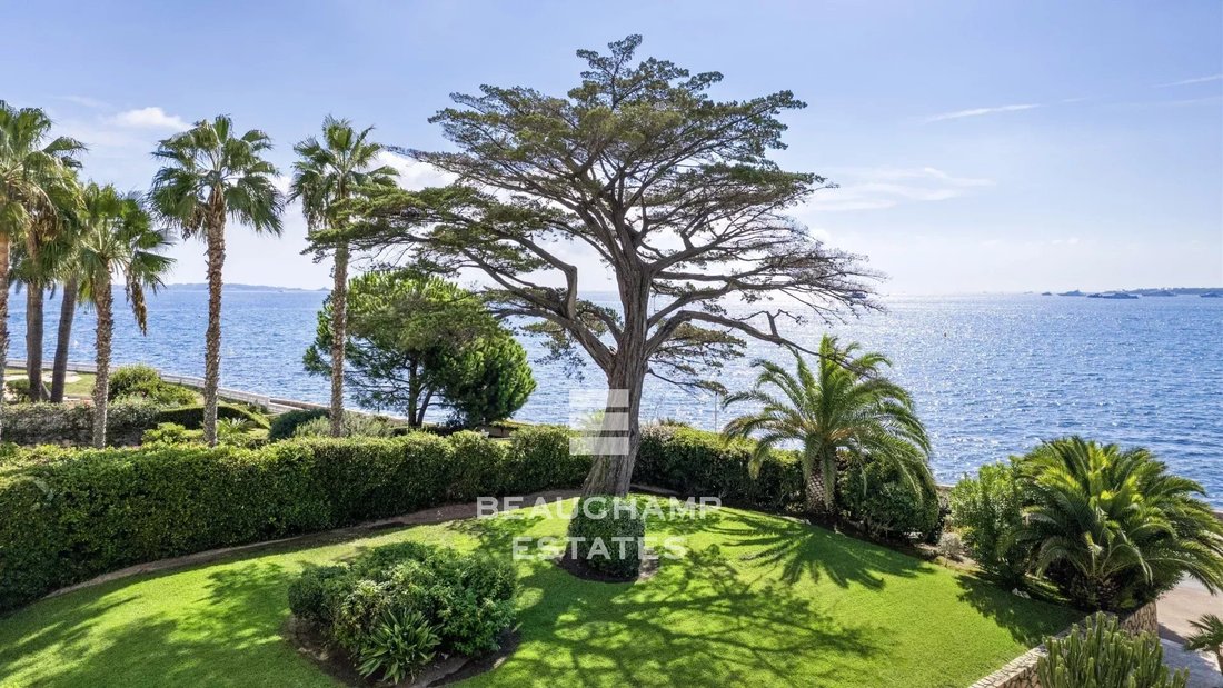 Apartment in Cannes, Provence-Alpes-Côte d'Azur, France 3 - 17134255