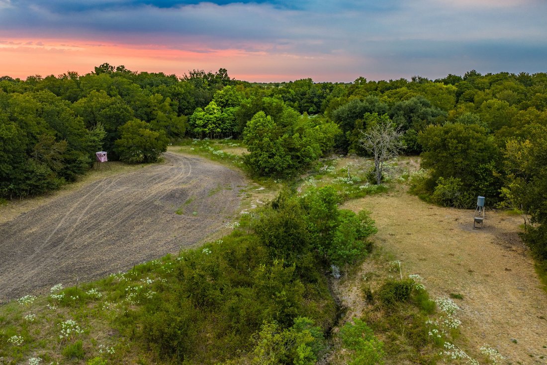 Farm Ranch in Cameron, Texas, United States 5 - 18820850