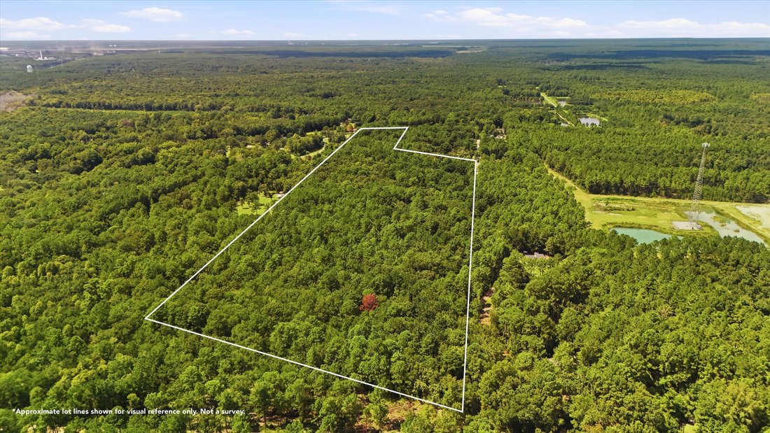 Land in Huger, South Carolina, United States 5 - 18820922