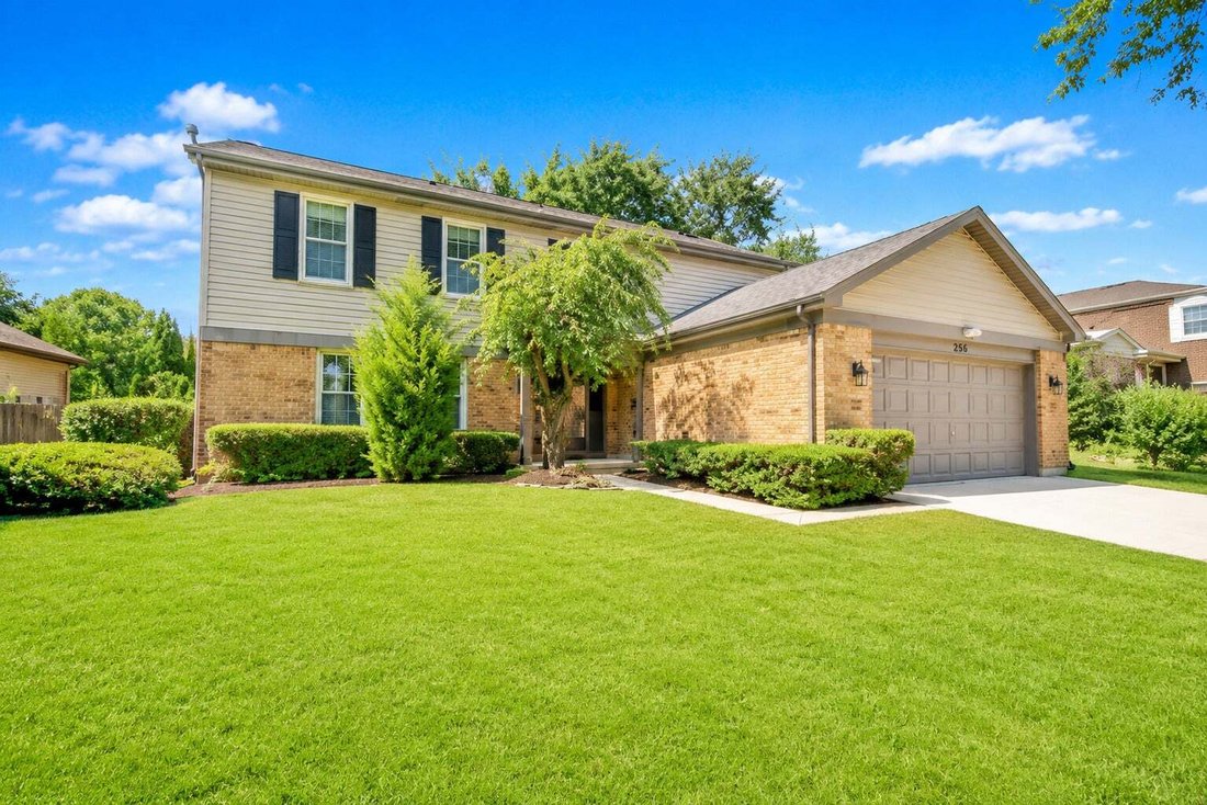 Casa en Buffalo Grove, Illinois, Estados Unidos 2 - 18820700