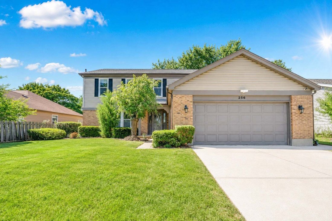 Casa en Buffalo Grove, Illinois, Estados Unidos 1 - 18820700