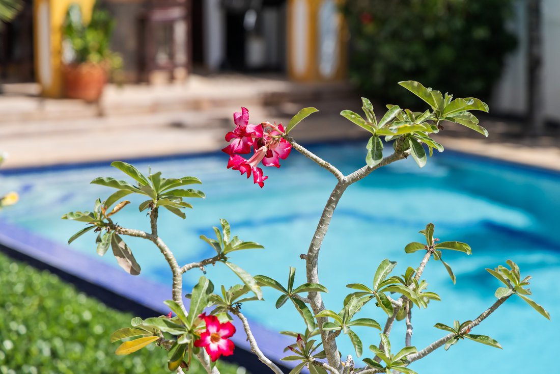Villa à Jan Thiel, Curaçao, Curaçao 3 - 18821294