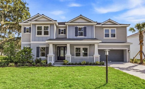 House in Odessa, Florida, United States 1
