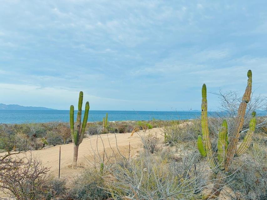 Land in El Jalito, Baja California Sur, Mexico 4 - 18824927