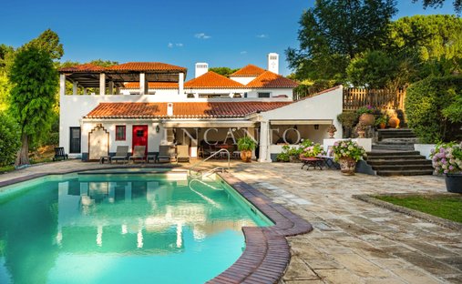 Finca a Santo Estevão, Distretto di Santarém, Portogallo 1