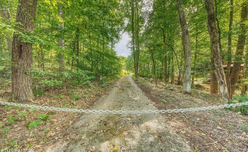 Terreno a Sevierville, Tennessee, Stati Uniti 1