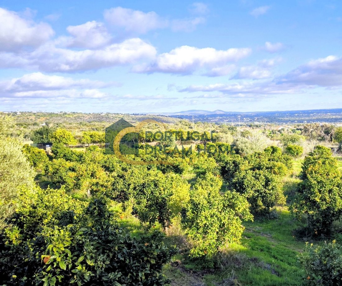 Land in Ferreiras, Algarve, Portugal 5 - 18825157
