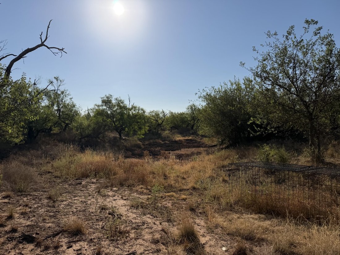 Land in Spur, Texas, United States 5 - 18825685