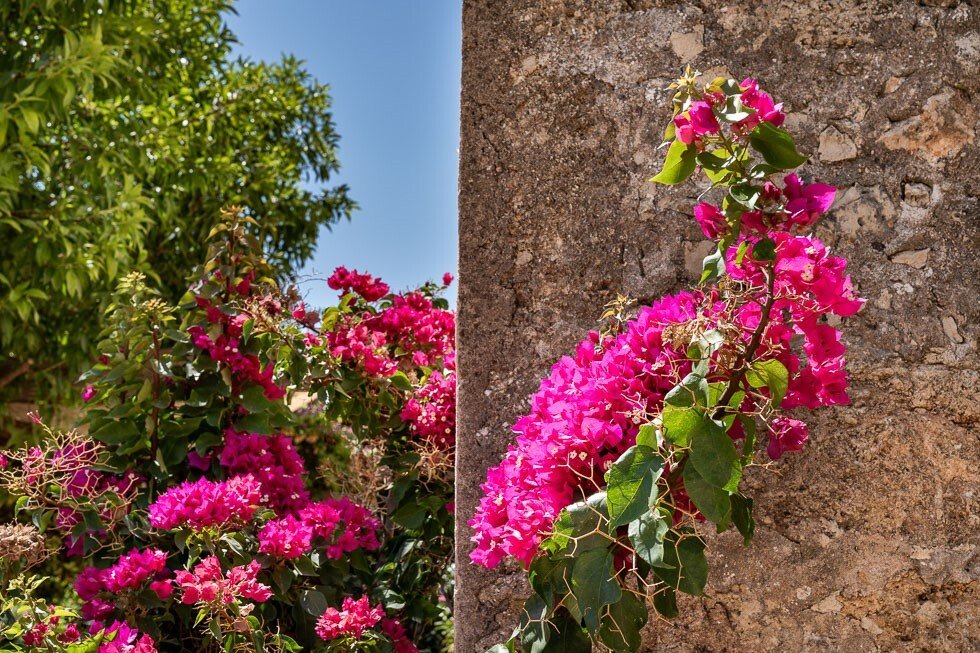 Haus in Sencelles, Balearische Inseln, Spanien 2 - 18825254