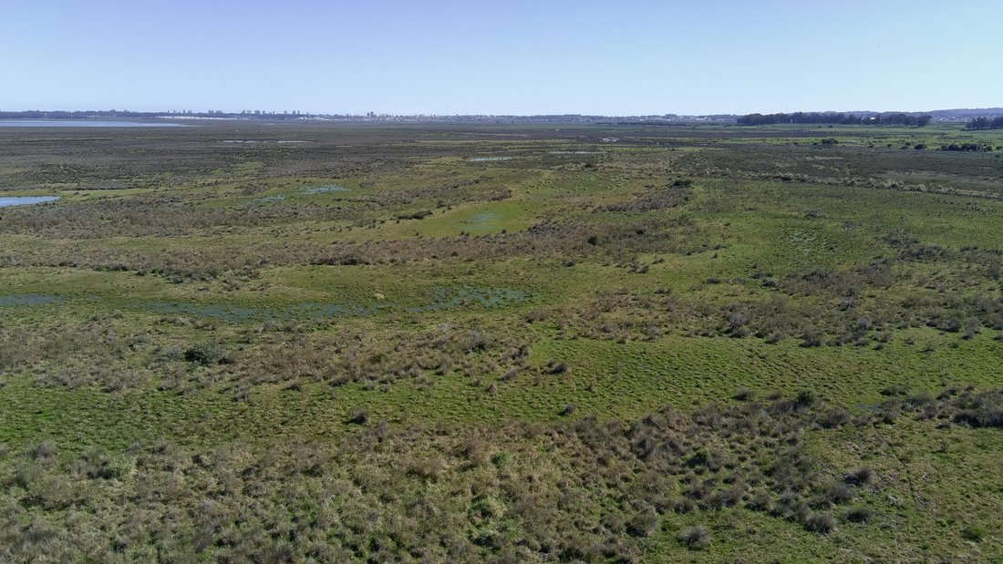 Farm Ranch in Fasano las Piedras, Departamento Maldonado, Uruguay 5 - 18823773