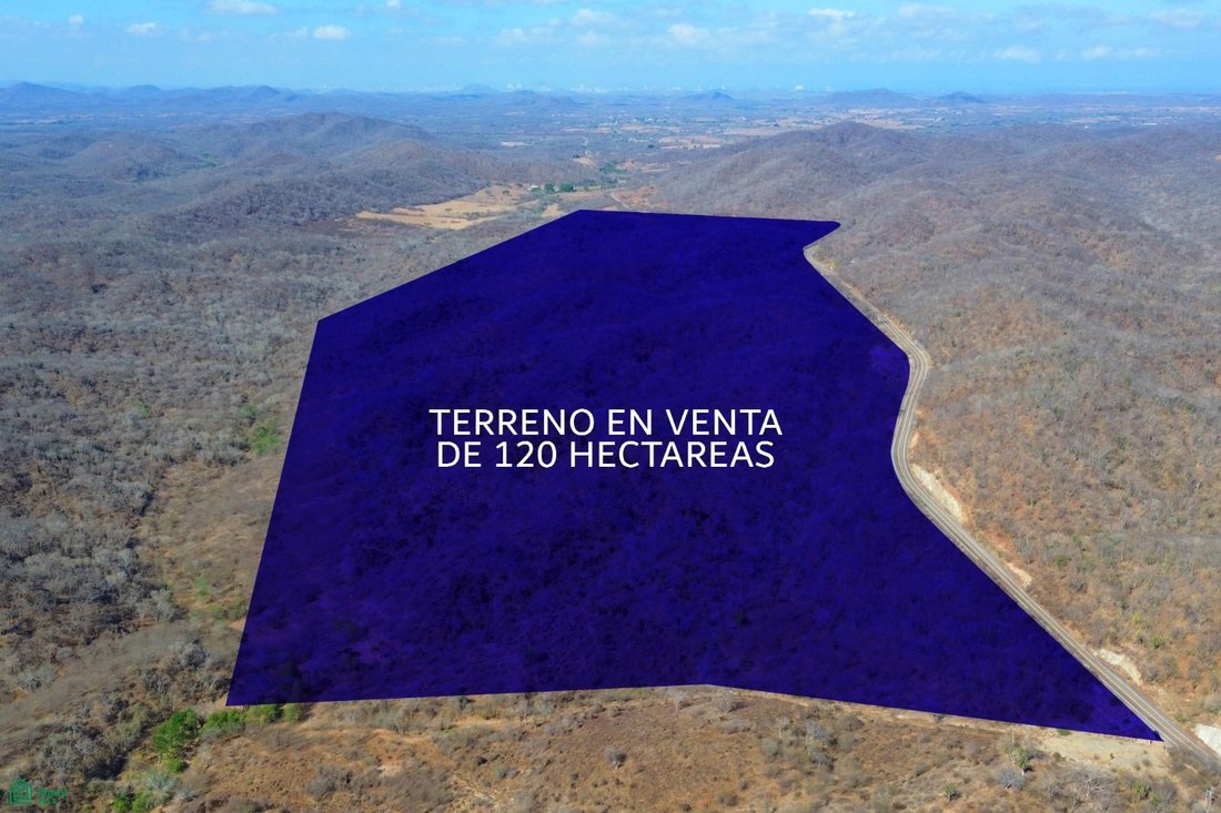 Land in La Noria de San Antonio, Sinaloa, Mexico 3 - 18822972