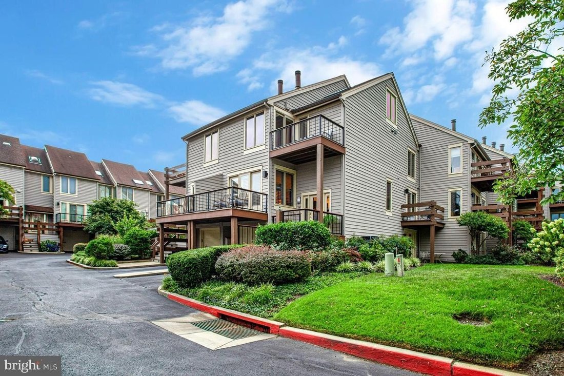 House in Annapolis, Maryland, United States 5 - 18826077