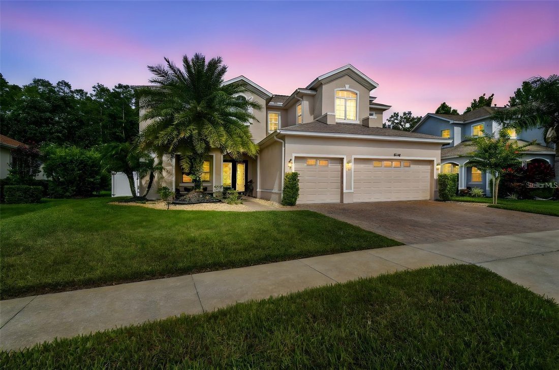 Maison à Land O' Lakes, Floride, États-Unis 1 - 18824123