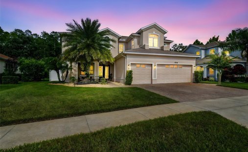 Maison à Land O' Lakes, Floride, États-Unis 1