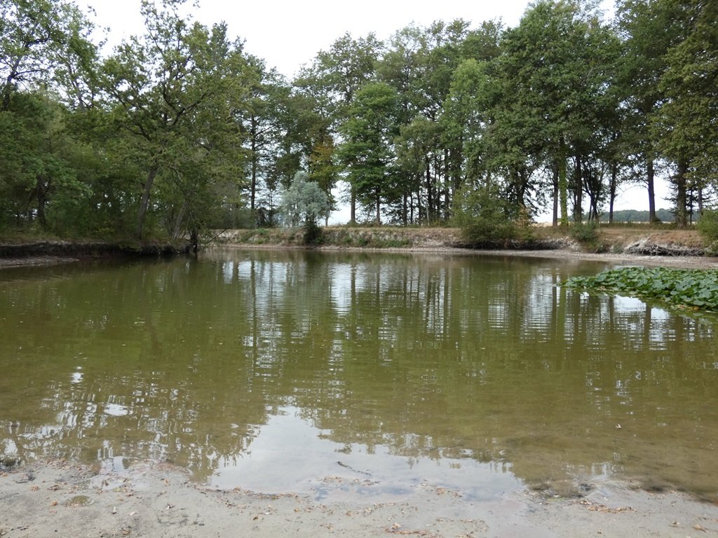 Villa in Villeloin-Coulange, Centre-Val de Loire, France 5 - 18822221