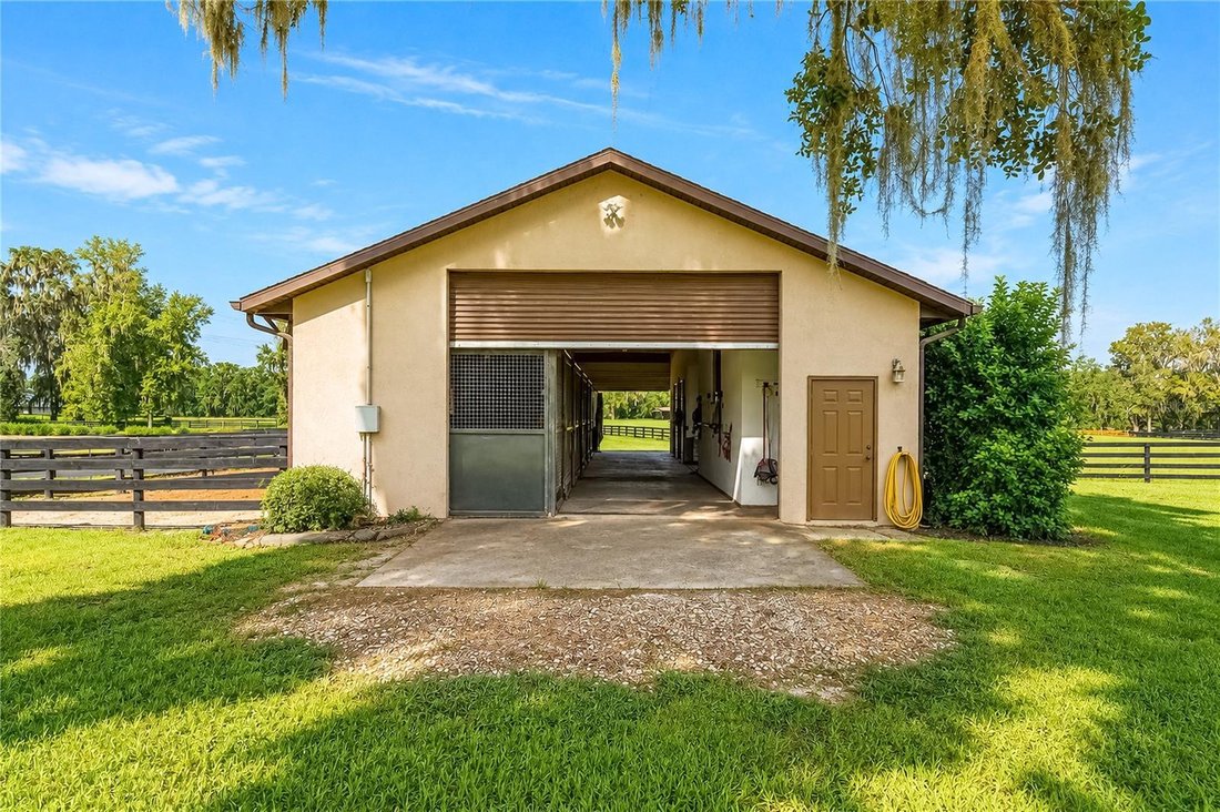 Farm Ranch in Reddick, Florida, Vereinigte Staaten 5 - 18824087