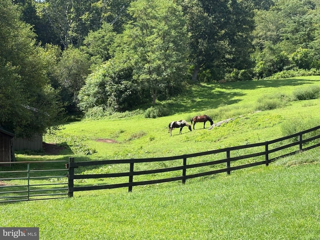 House in Markham, Virginia, United States 5 - 18826088