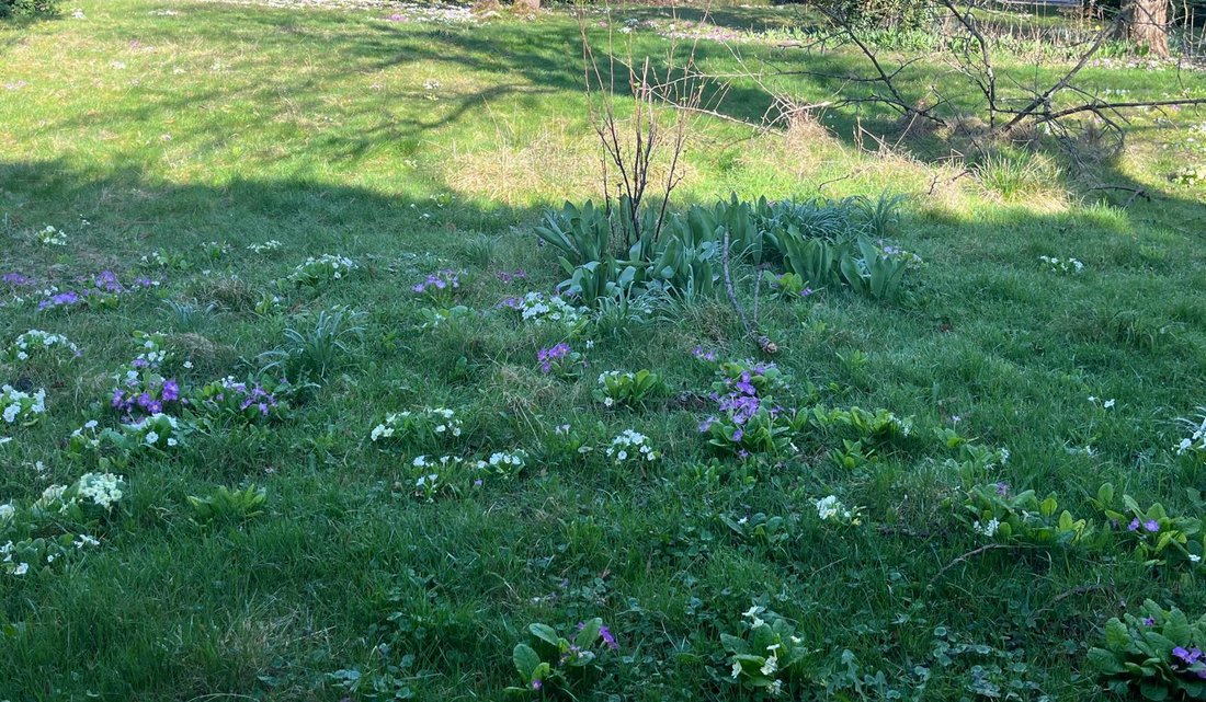 Terreno en Côte Saint Louis, Garches, Francia 5 - 18824885
