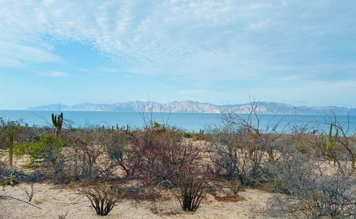 Land in El Jalito, Baja California Sur, Mexico 1