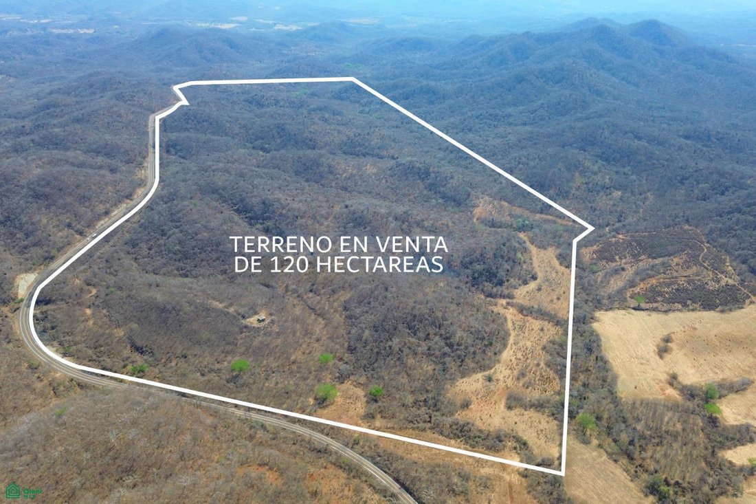 Land in La Noria de San Antonio, Sinaloa, Mexico 4 - 18822972