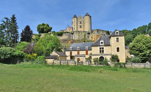 Villa in Salignac-Eyvigues, Nouvelle-Aquitaine, France 1