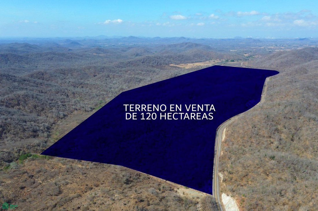 Land in La Noria de San Antonio, Sinaloa, Mexico 1 - 18822972